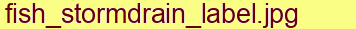 Fish stormdrain label